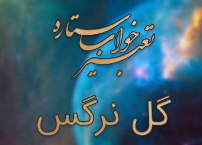 تعبیر خواب گل نرگس